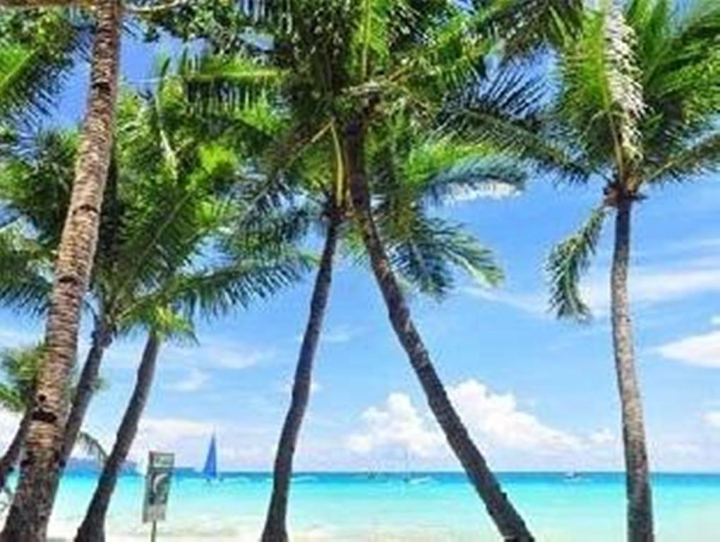 Готель Boracay Coco Huts Balabag  Екстер'єр фото